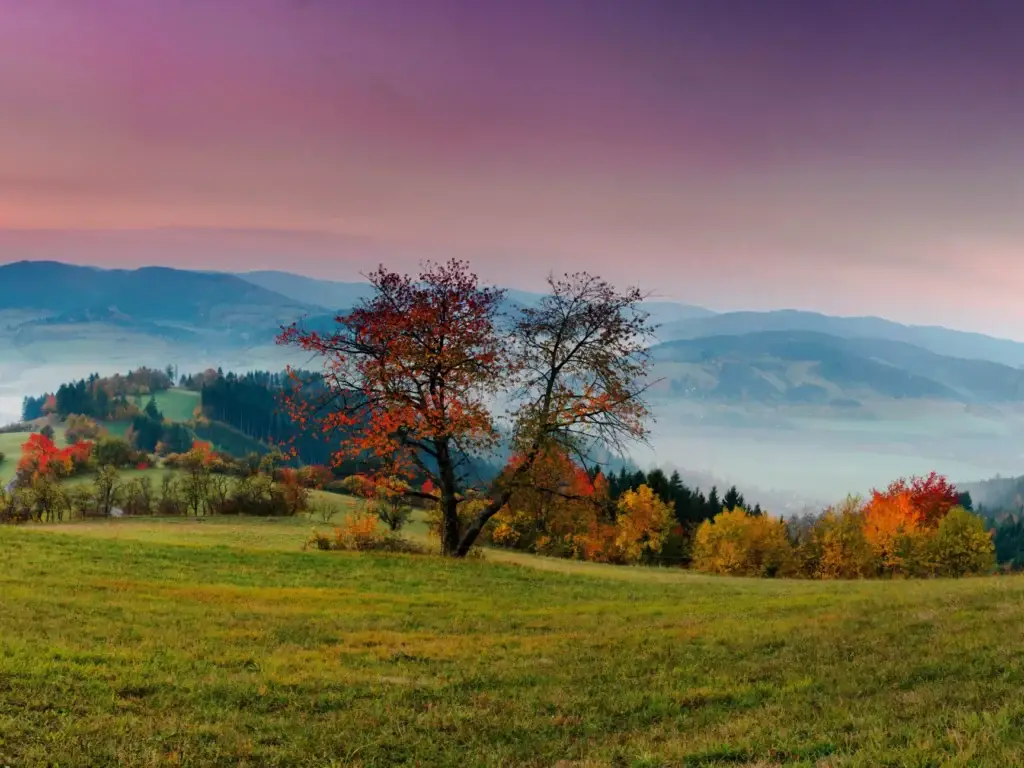 Our Country is Breathtaking!