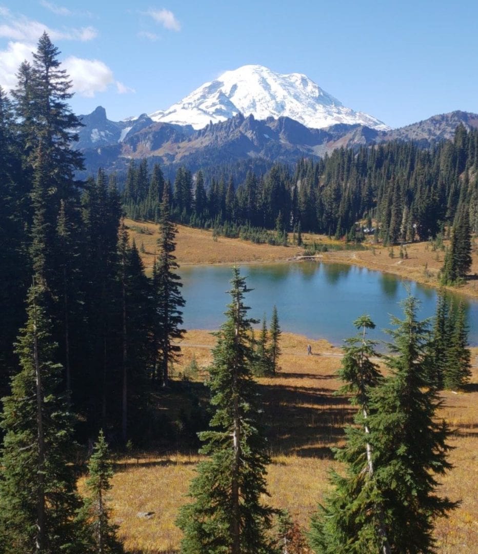 travel nurse jobs washington