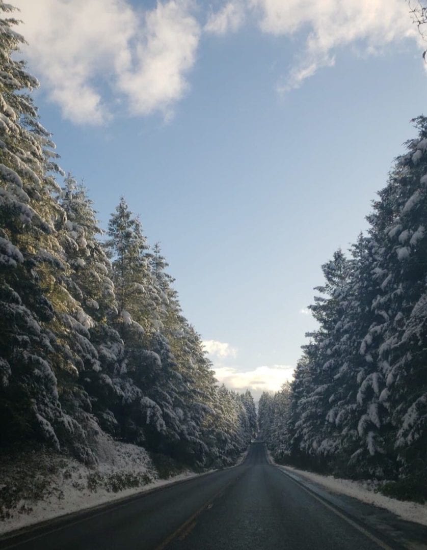 travel nurse winter jobs