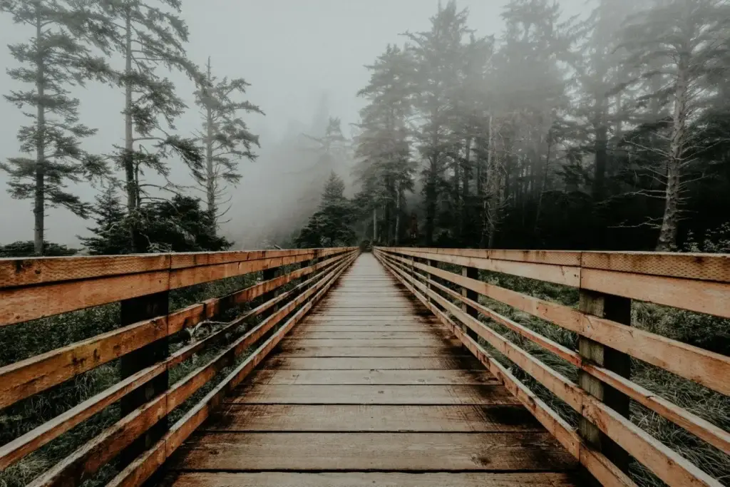 Blog & Insights