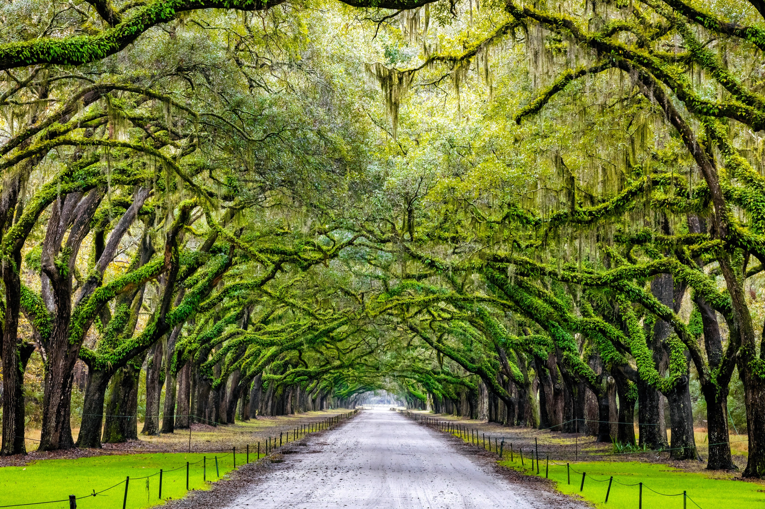 Top In-Demand States for Travelers in Spring 2025