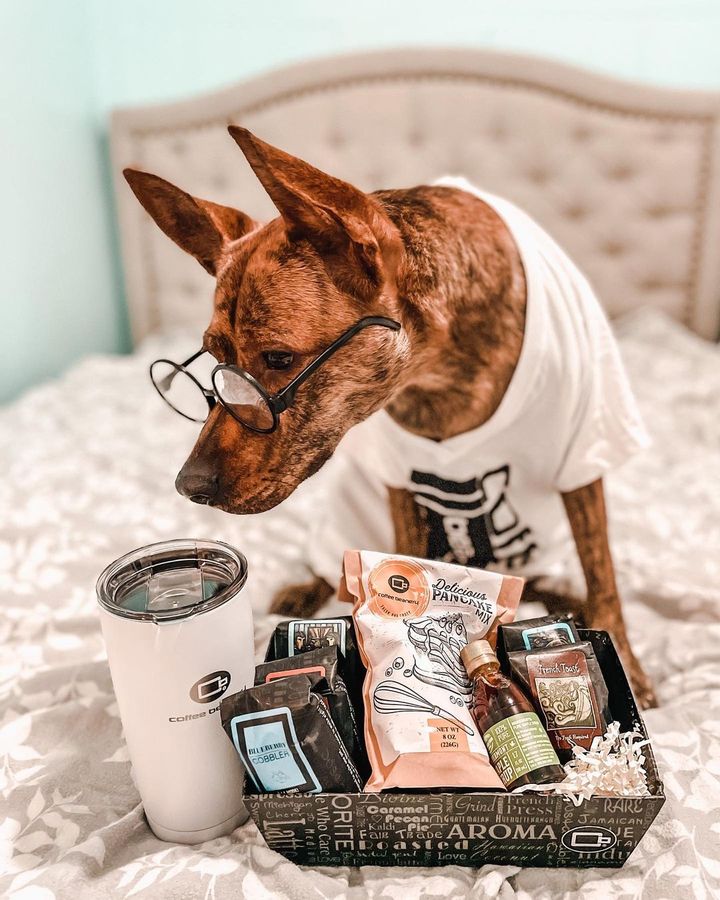 Top Brands and Gear We Love for Healthcare Travelers