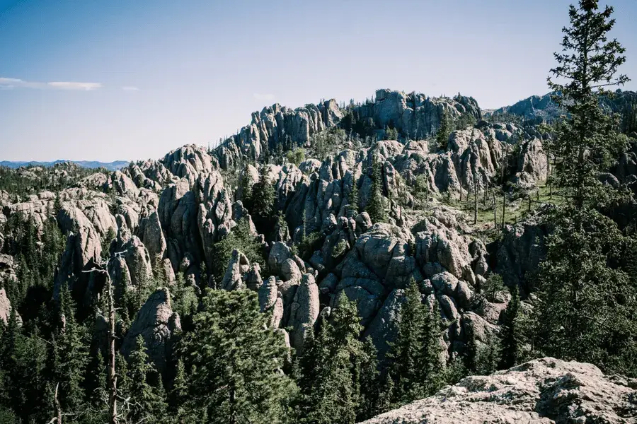Top Bucket List Things To Do During Your South Dakota Assignment Image of jagged, rock formations in Custer State Park, South Dakota