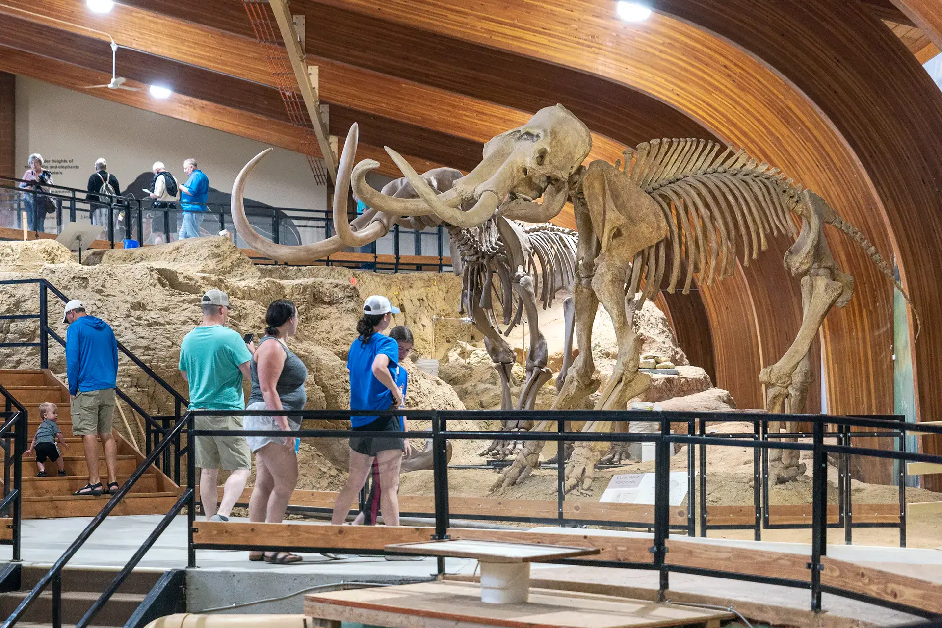 Top Bucket List Things To Do During Your South Dakota Assignment image of a group of people looking at a mammoth fossil in South Dakota