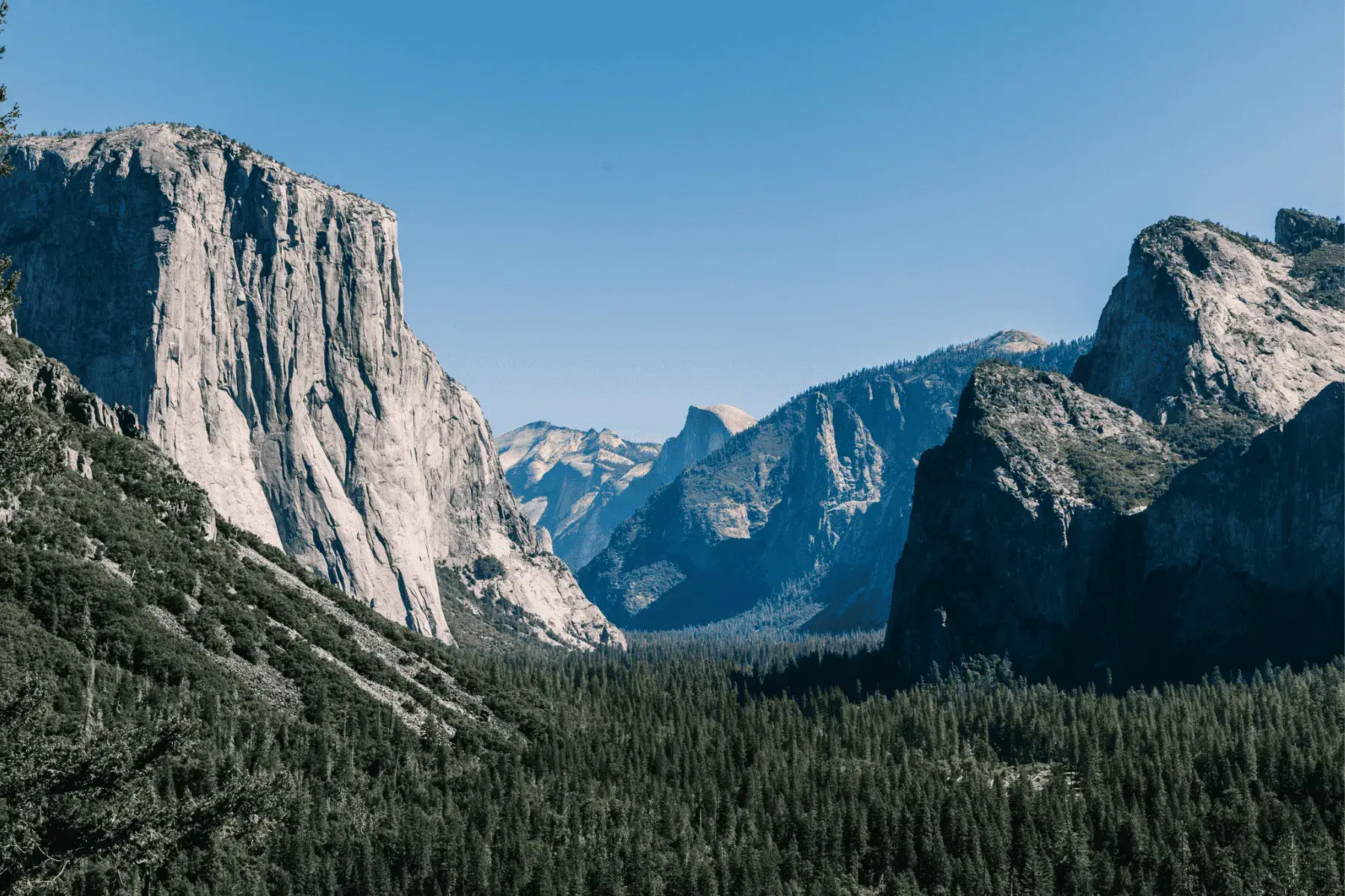 view of mountainous valley with trees